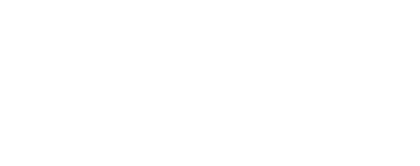 Elemental Brothers — Investment Specialist